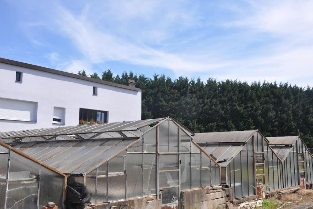 Gite St Nicolas Ancien Corps De Ferme Horticole Freyming-Merlebach Exterior foto